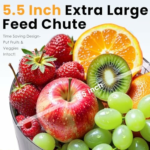 Mixed fruits in a 5.5 inch feed chute, including apples, strawberries, kiwi, oranges, and grapes.
