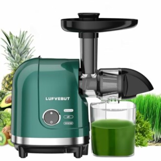 LUFVEBUT Slow Masticating Juicer