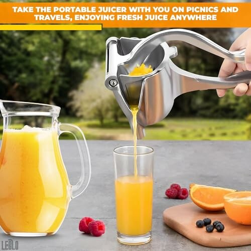 Hand Juicer Squeezer Pomegranate Juicer